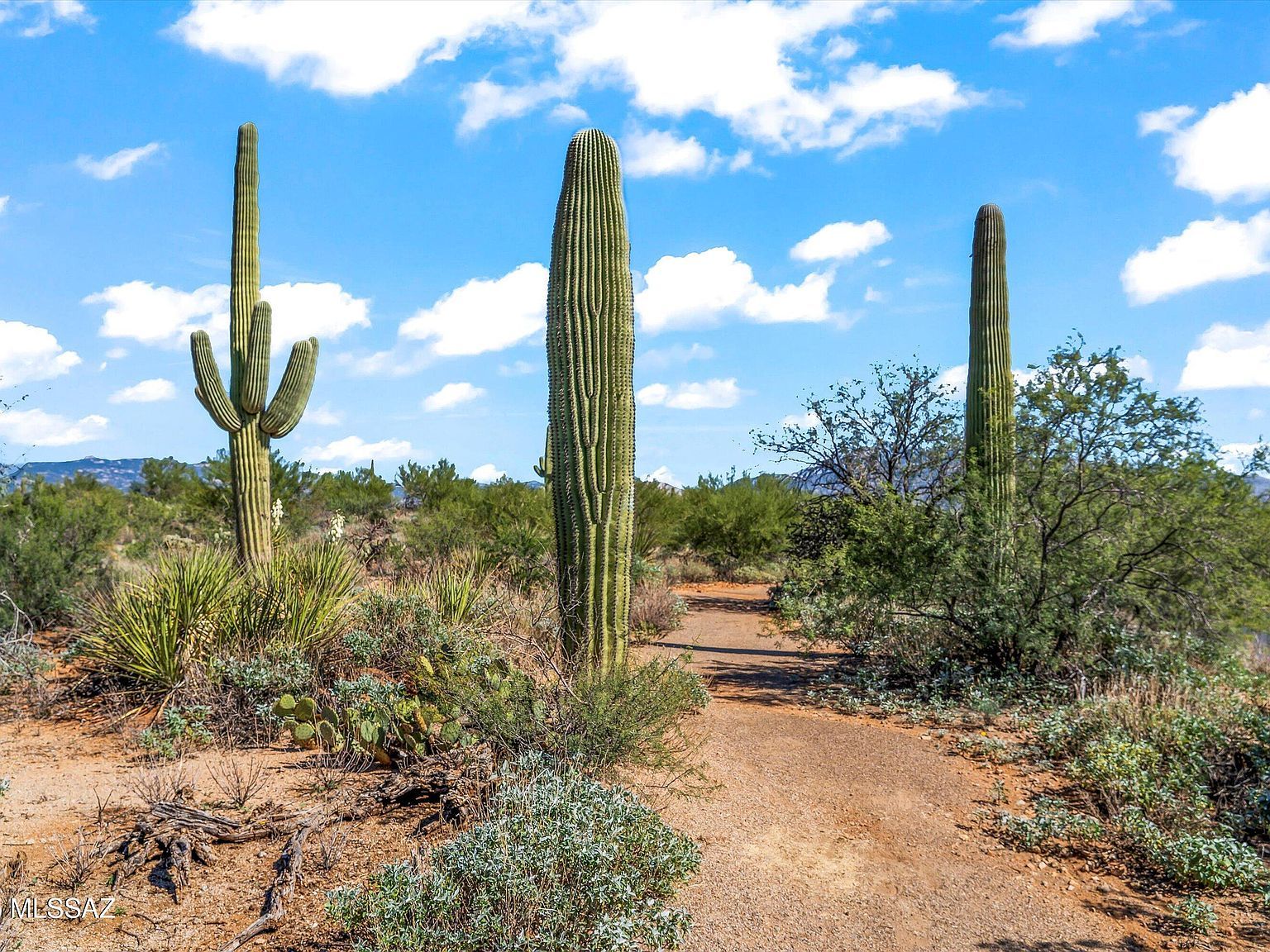 8623 S Tumbling M Ranch Pl #L-112 Vail, AZ 85641 - Thumbnail 4