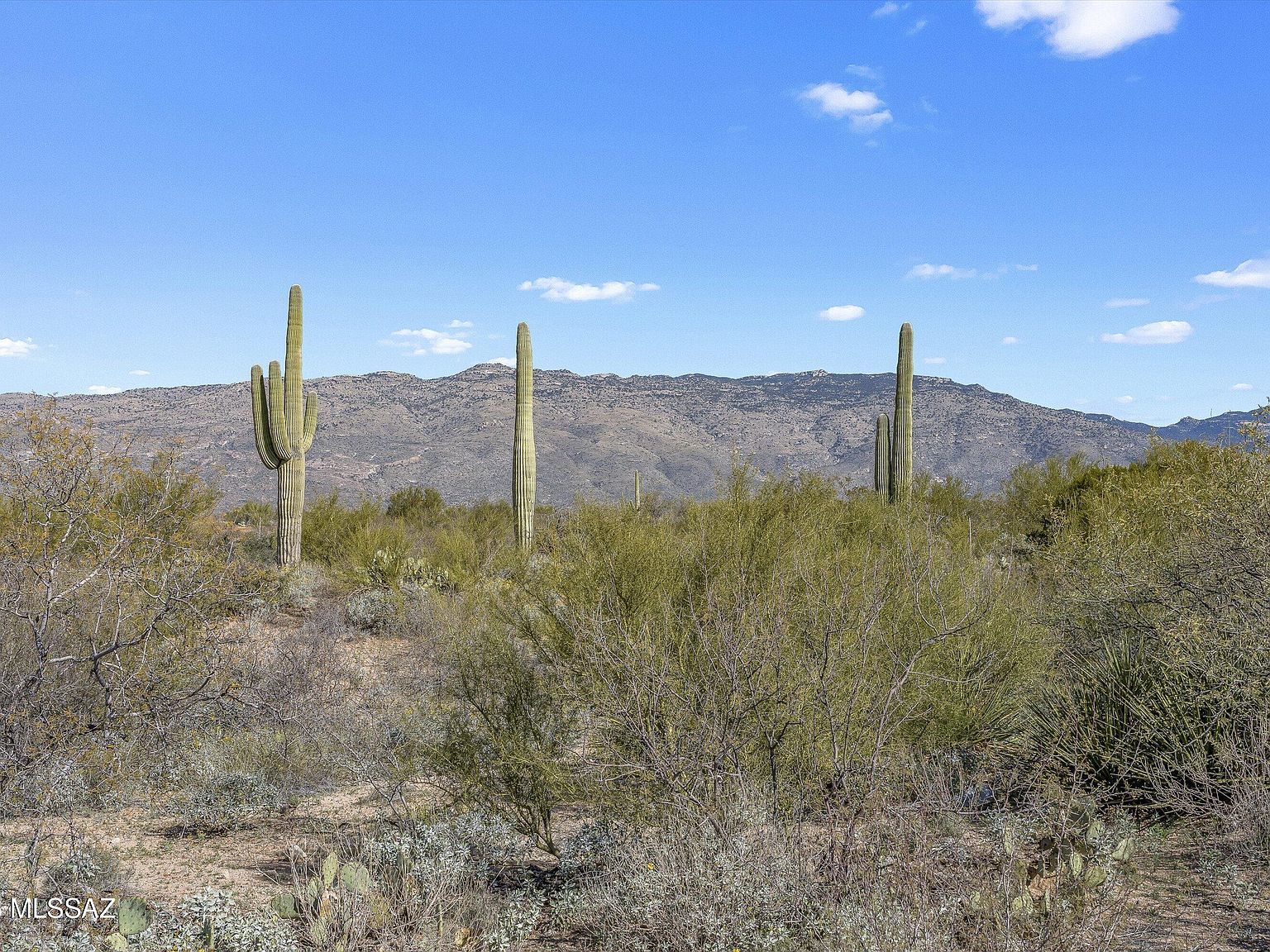 8293 S Tumbling Y Ranch Pl #142 Vail, AZ 85641 - Thumbnail 4