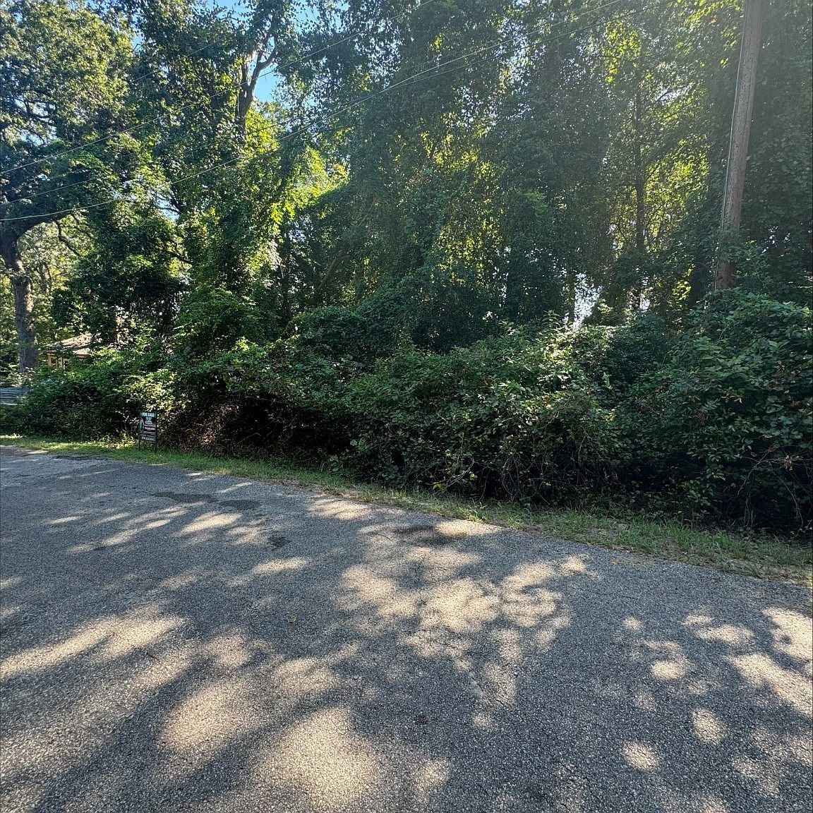 Tbd Dogwood Murchison, TX 75778 - Thumbnail 4