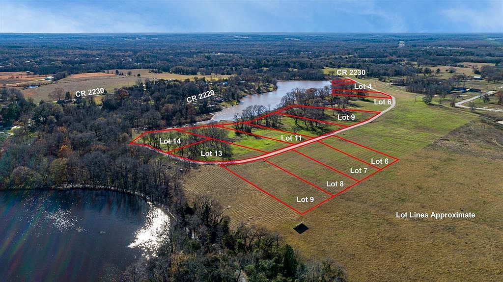 9 County Road 2228 Mineola, TX 75773 - Thumbnail 4