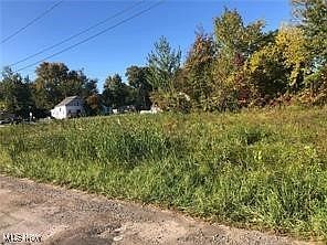 V/l N Ridge Rd E Lorain, OH 44055 - Thumbnail 4