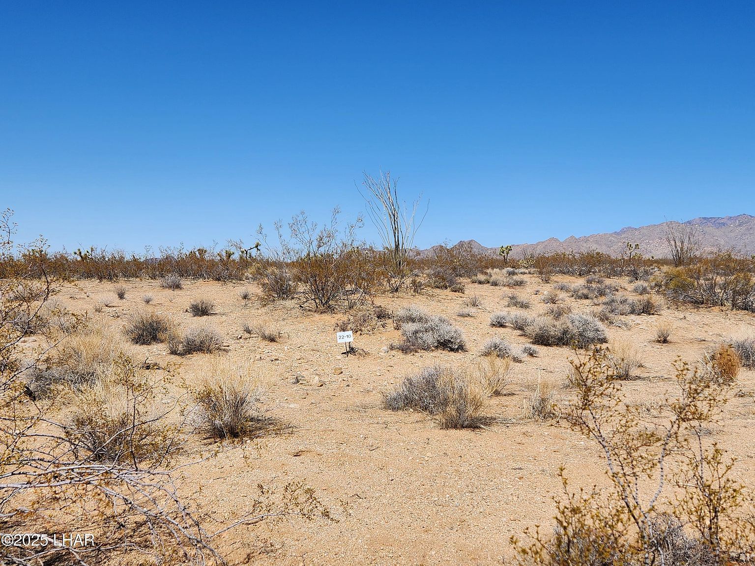 328 E Oscar Dr Yucca, AZ 86438 - Thumbnail 4