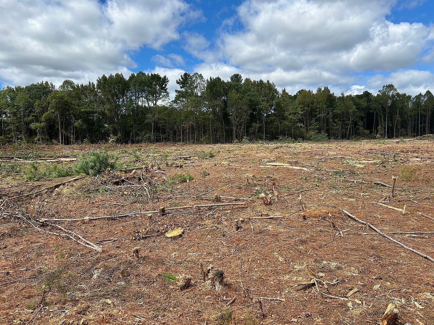 2351 Tanner Rd Rocky Mount, NC 27801 - Thumbnail 4