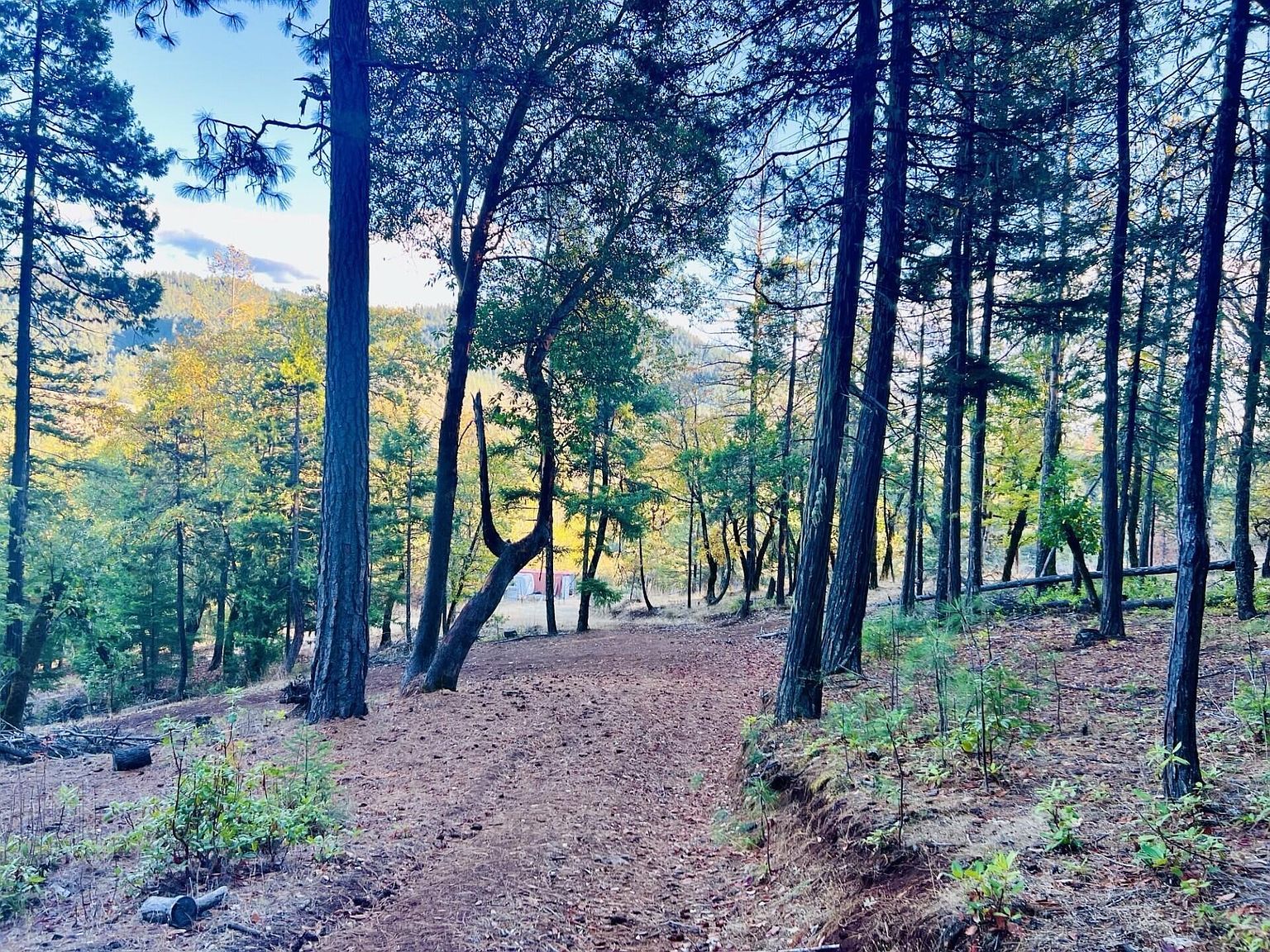 501 Elder Mill Rd Trail, OR 97541 - Thumbnail 4