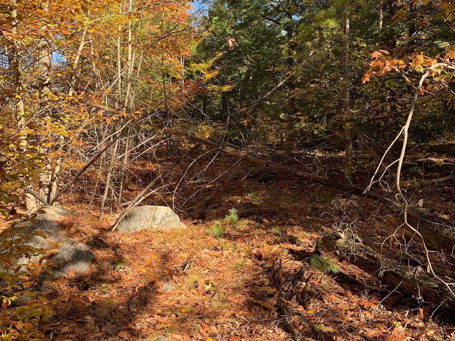 3 Journeys End Rd Francestown, NH 03043 - Thumbnail 4