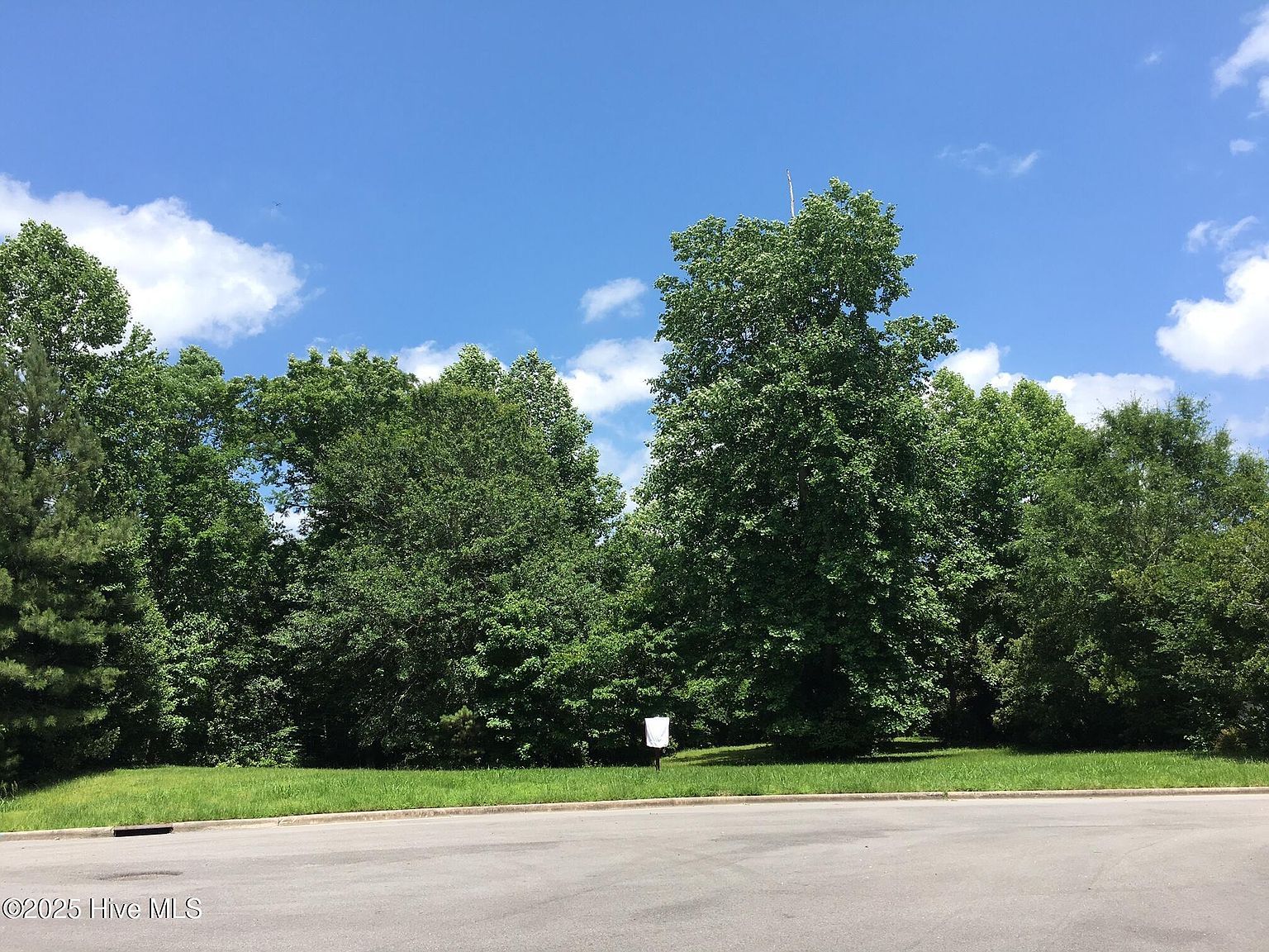 404 Mellen Ct New Bern, NC 28562 - Thumbnail 4