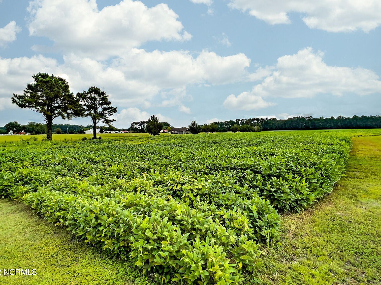 N/a Parkertown Rd Hubert, NC 28539 - Thumbnail 4