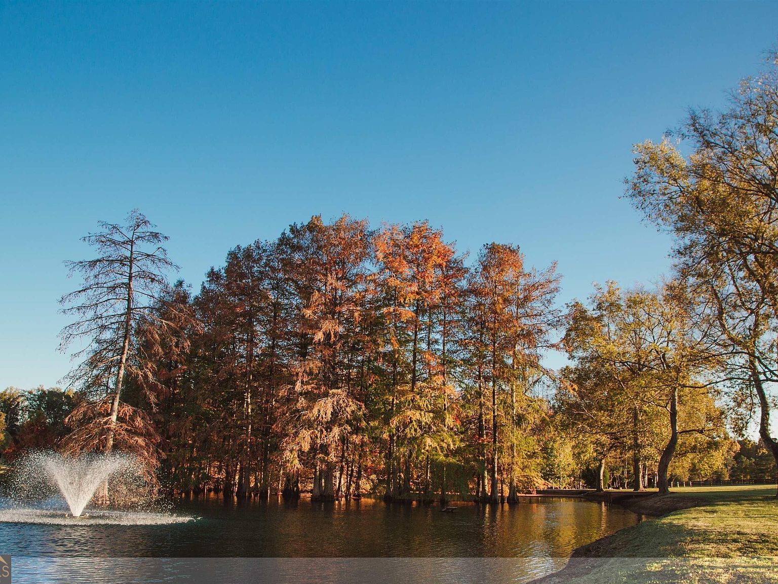 1603 Boutwell Rd Perry, GA 31069 - Thumbnail 4