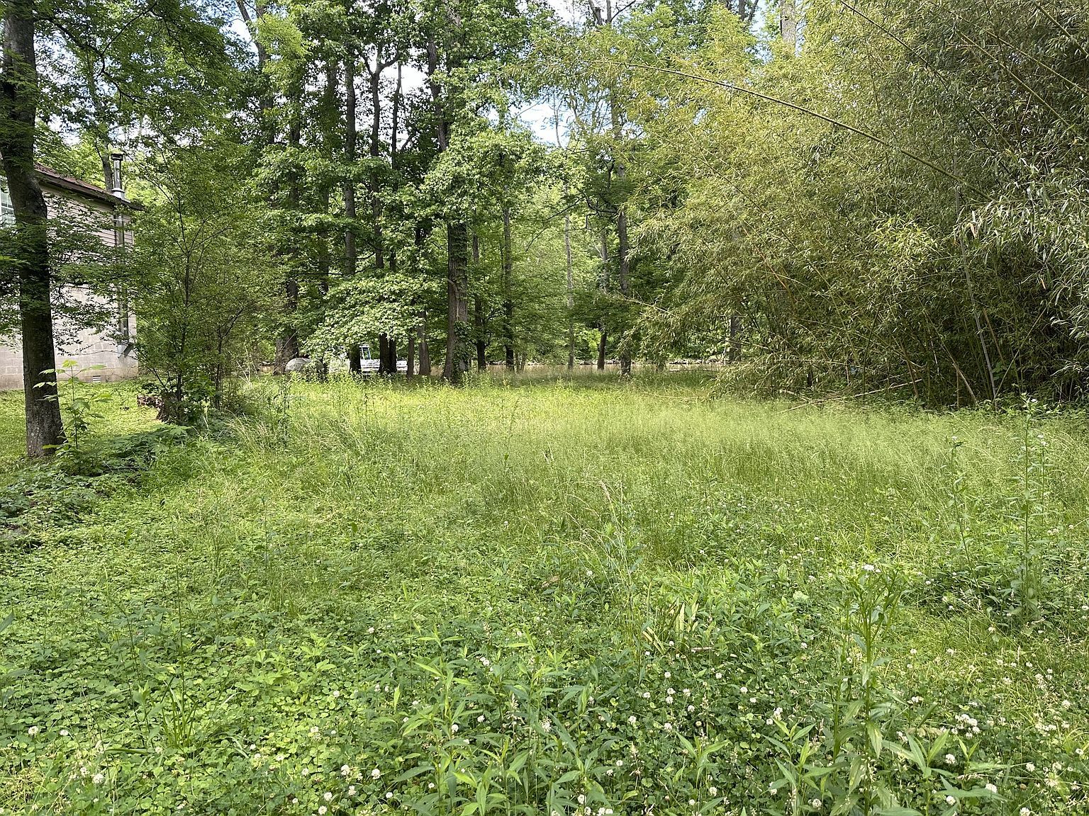 1341 Chapmansboro Rd Chapmansboro, TN 37035 - Thumbnail 4