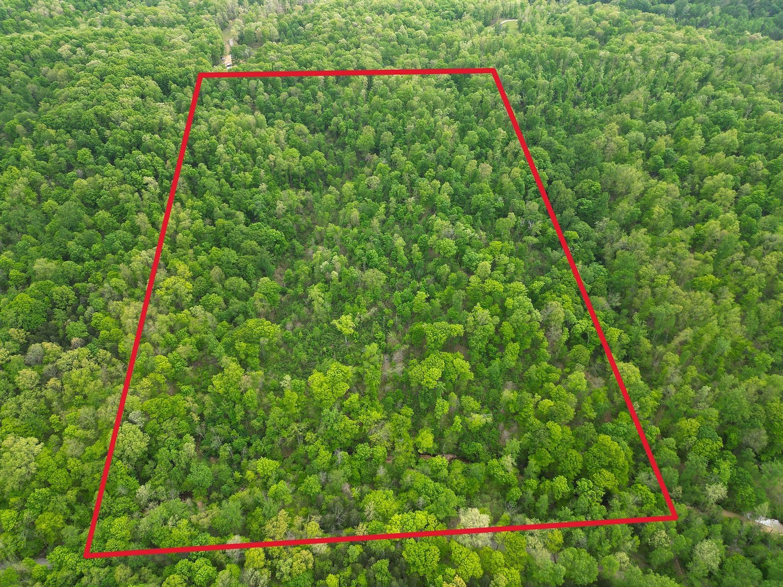 2 Cave Branch Rd Dickson, TN 37055 - Thumbnail 4