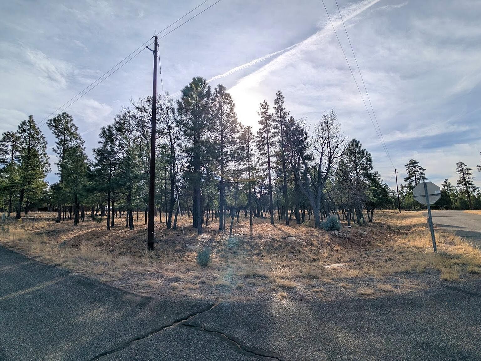 5527 Datil Cir #325 Happy Jack, AZ 86024 - Thumbnail 4