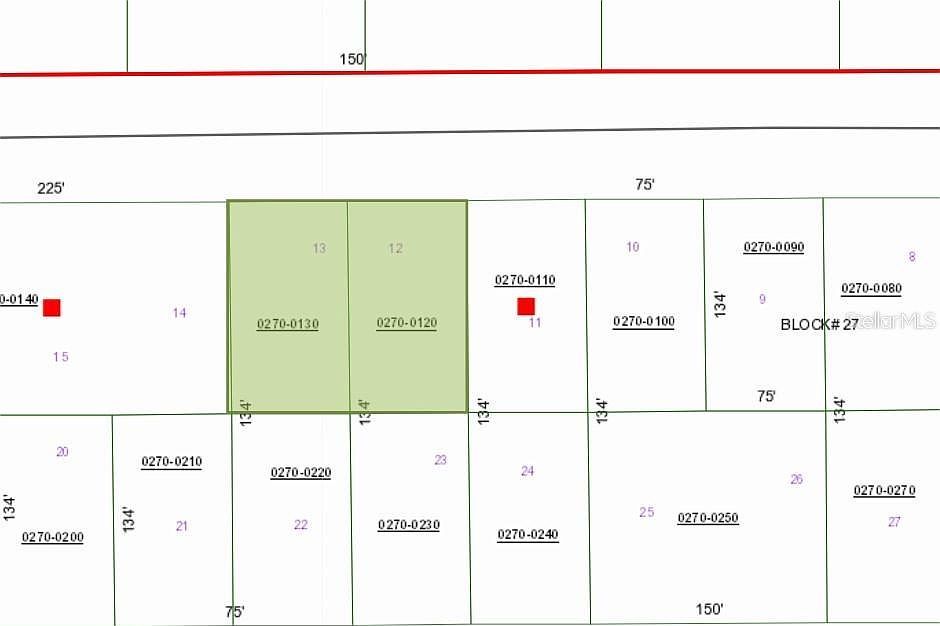 243 & 245 Georgetown Denver Rd LOT 12 Georgetown, FL 32139 - Thumbnail 4