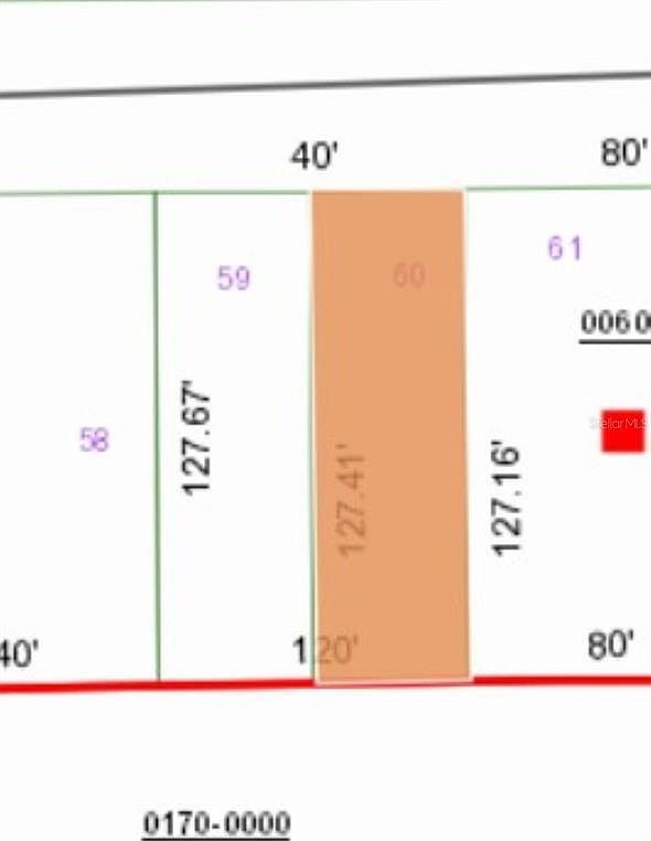 0 Unassigned Rd LOT 60 Interlachen, FL 32148 - Thumbnail 4