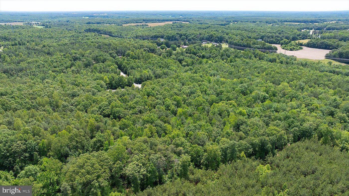 LOT 2 Golansville Rd Ruther Glen, VA 22546 - Thumbnail 4