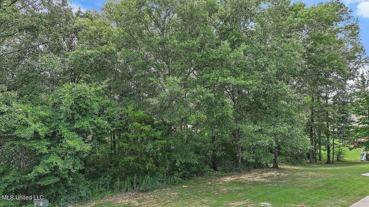 103 Ashton Pl Clinton, MS 39056 - Thumbnail 4