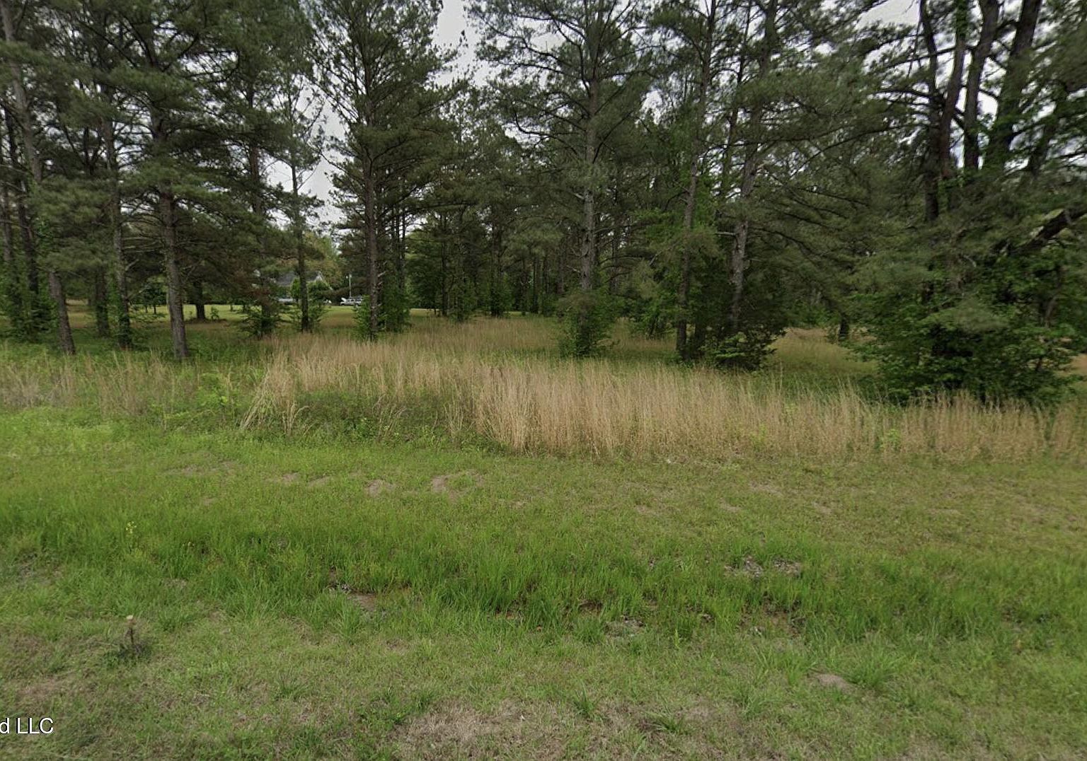 205 Cobbville Rd Canton, MS 39046 - Thumbnail 4