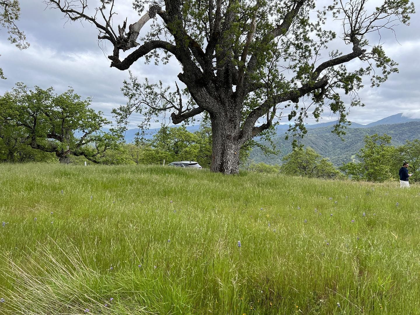 13 Long Ridge Trl Carmel, CA 93923 - Thumbnail 4