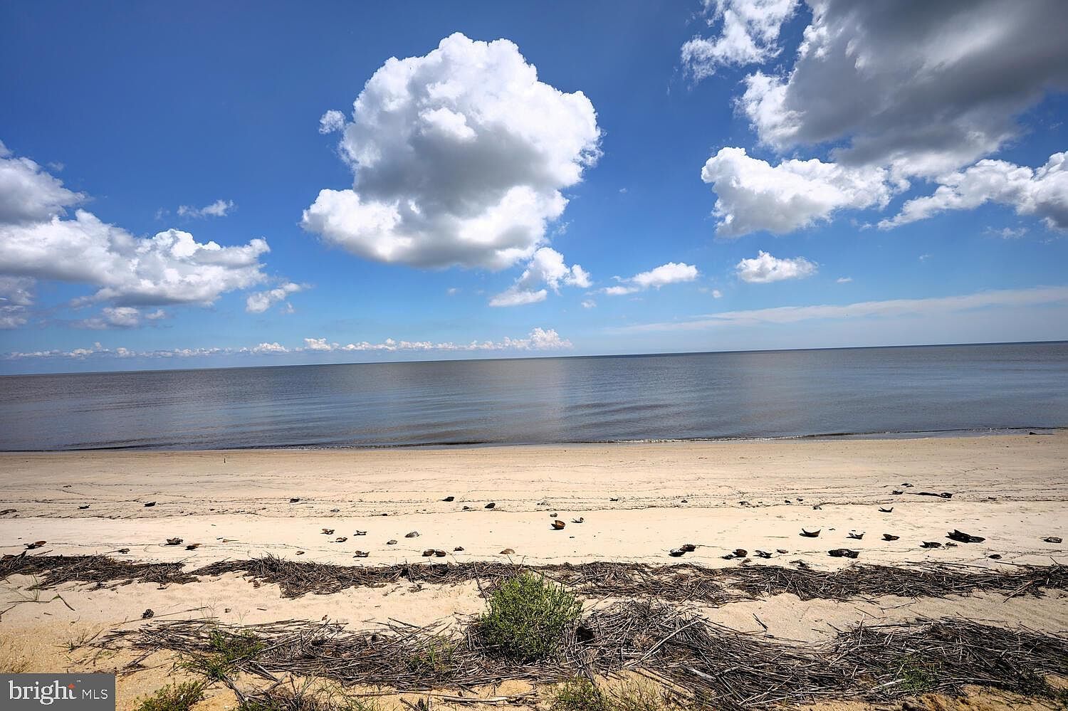 173 S Sandpiper Dr Dover, DE 19901 - Thumbnail 4