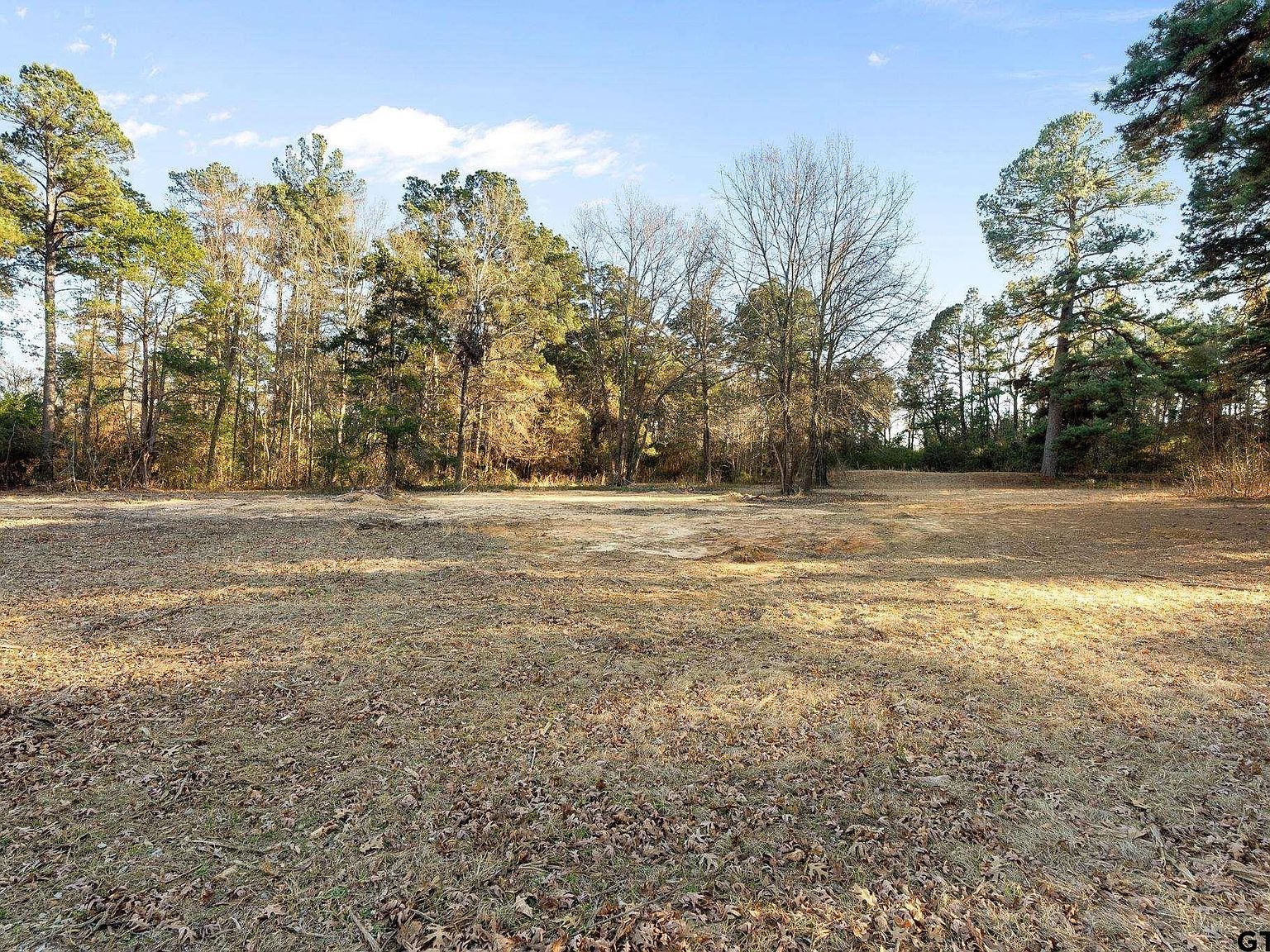 Tbd Surrey Trl Tyler, TX 75705 - Thumbnail 4