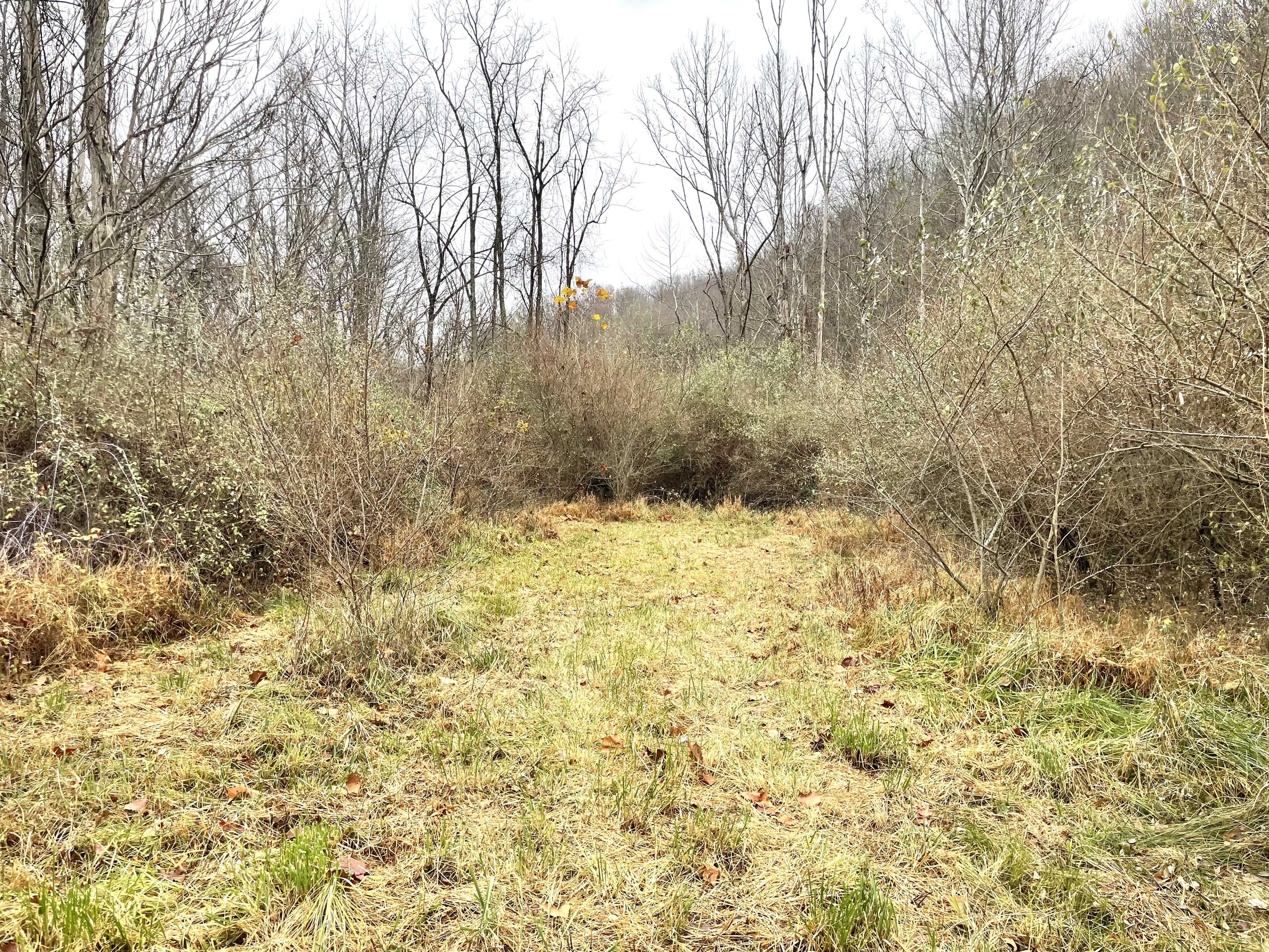 00 Isaacs Creek Rd., Lost Creek, WV, 26385 - Thumbnail 4