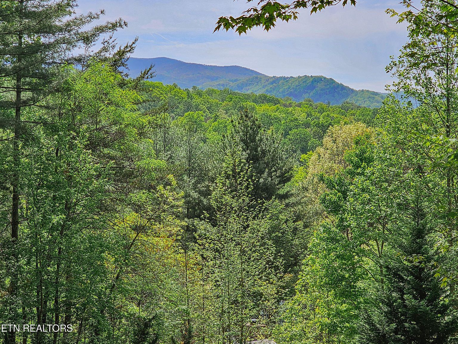 1223 Ski View Ln Sevierville, TN 37876 - Thumbnail 4