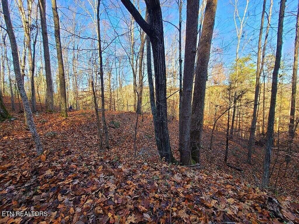 LOT 9 Walden Flats Way Sevierville, TN 37862 - Thumbnail 4