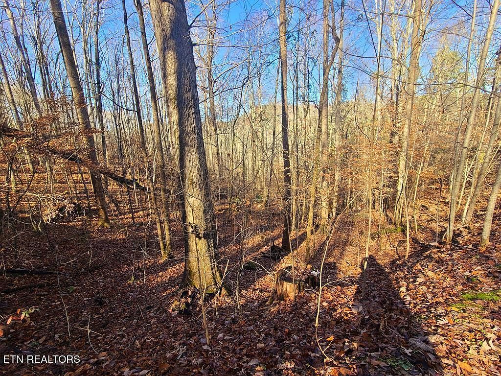 LOT 26 Walden Cove Way Sevierville, TN 37862 - Thumbnail 4