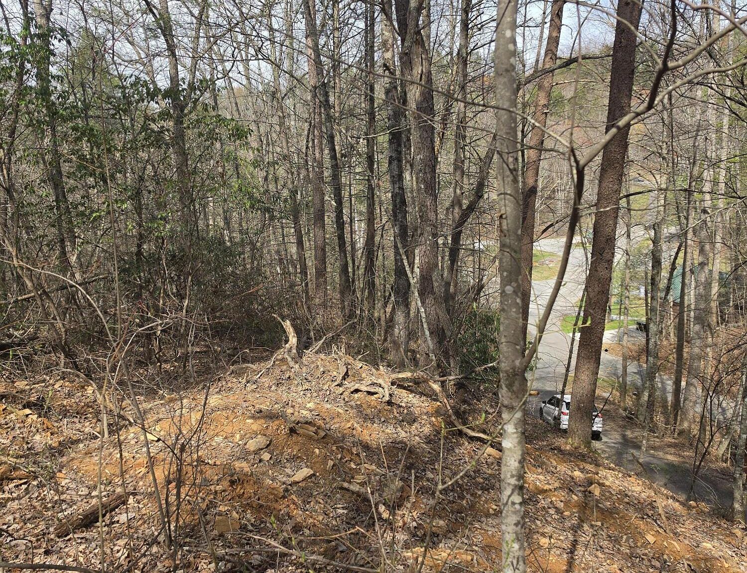 Ridgefield Dr Sevierville, TN 37876 - Thumbnail 4