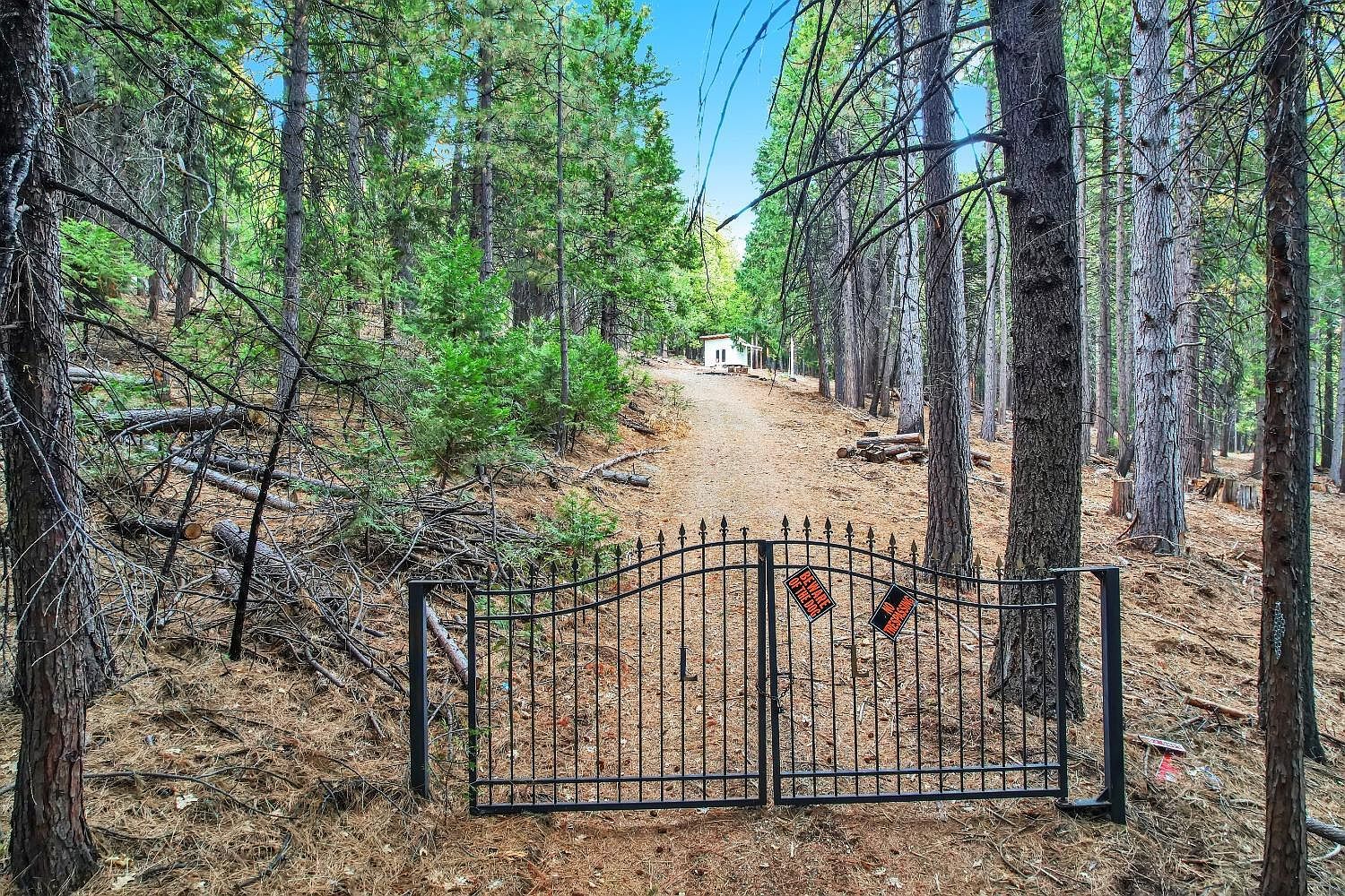 4440 Sly Park Rd Pollock Pines, CA 95726 - Thumbnail 4