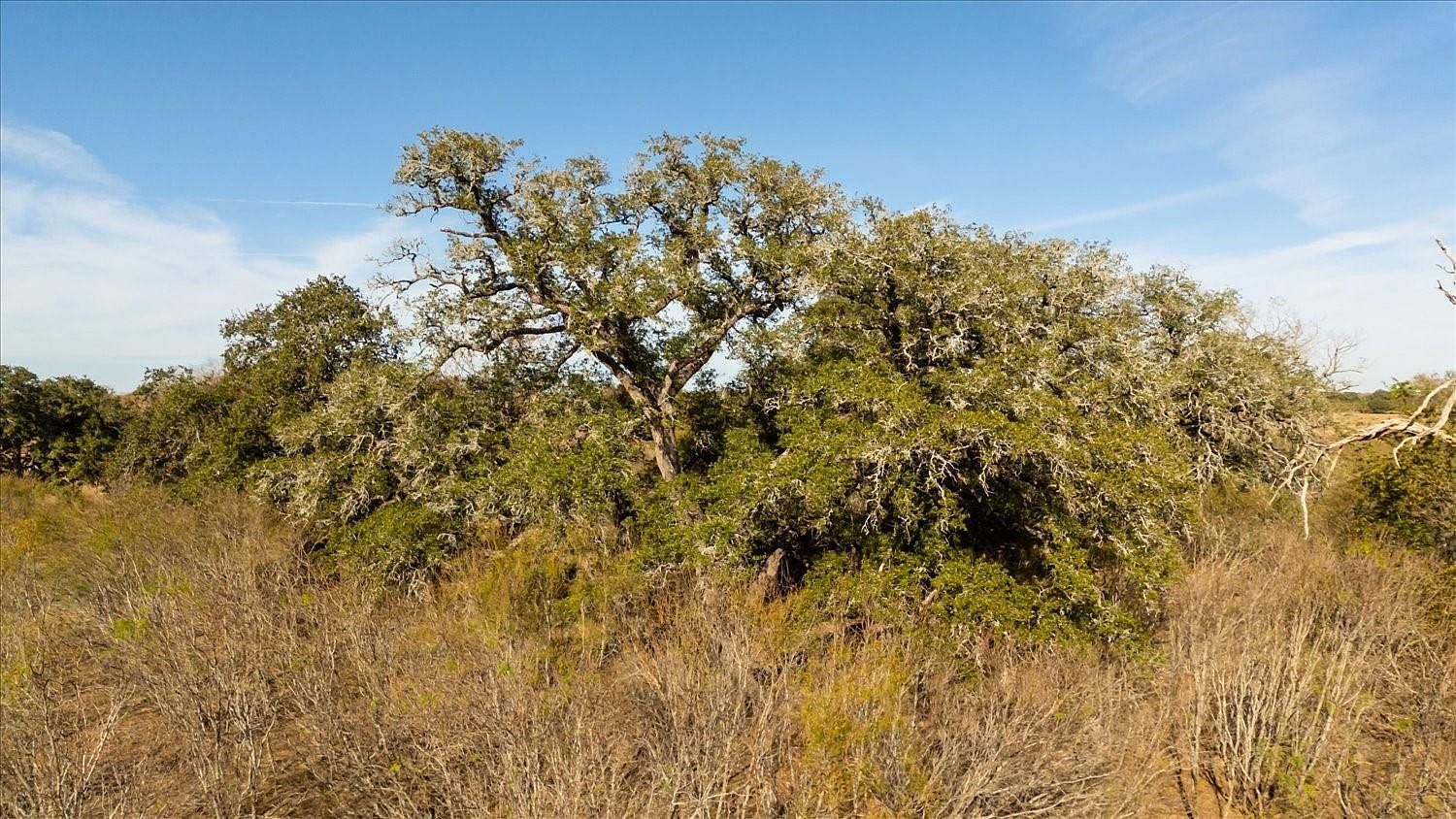 14858 Fm 1322 Luling, TX 78648 - Thumbnail 4