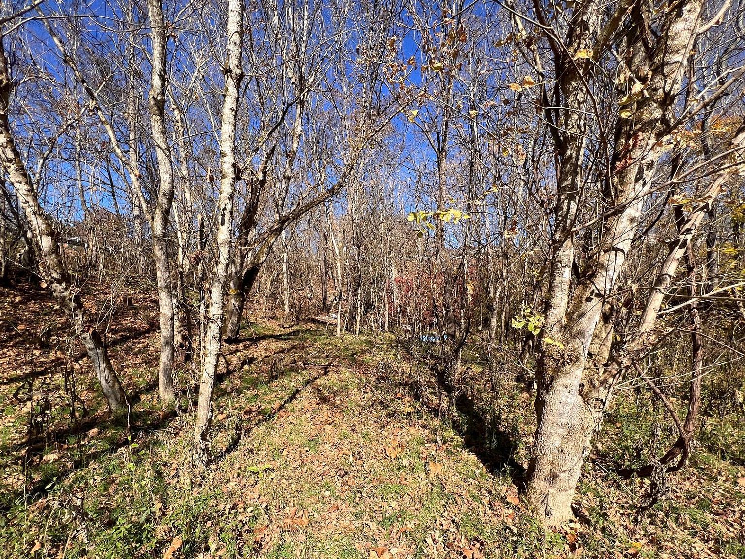 7445 Elk River Rd Frametown, WV 26623 - Thumbnail 4