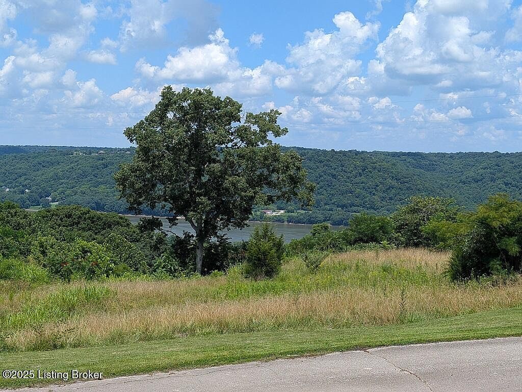 44 Wheeler Rd Milton, KY 40045 - Thumbnail 4