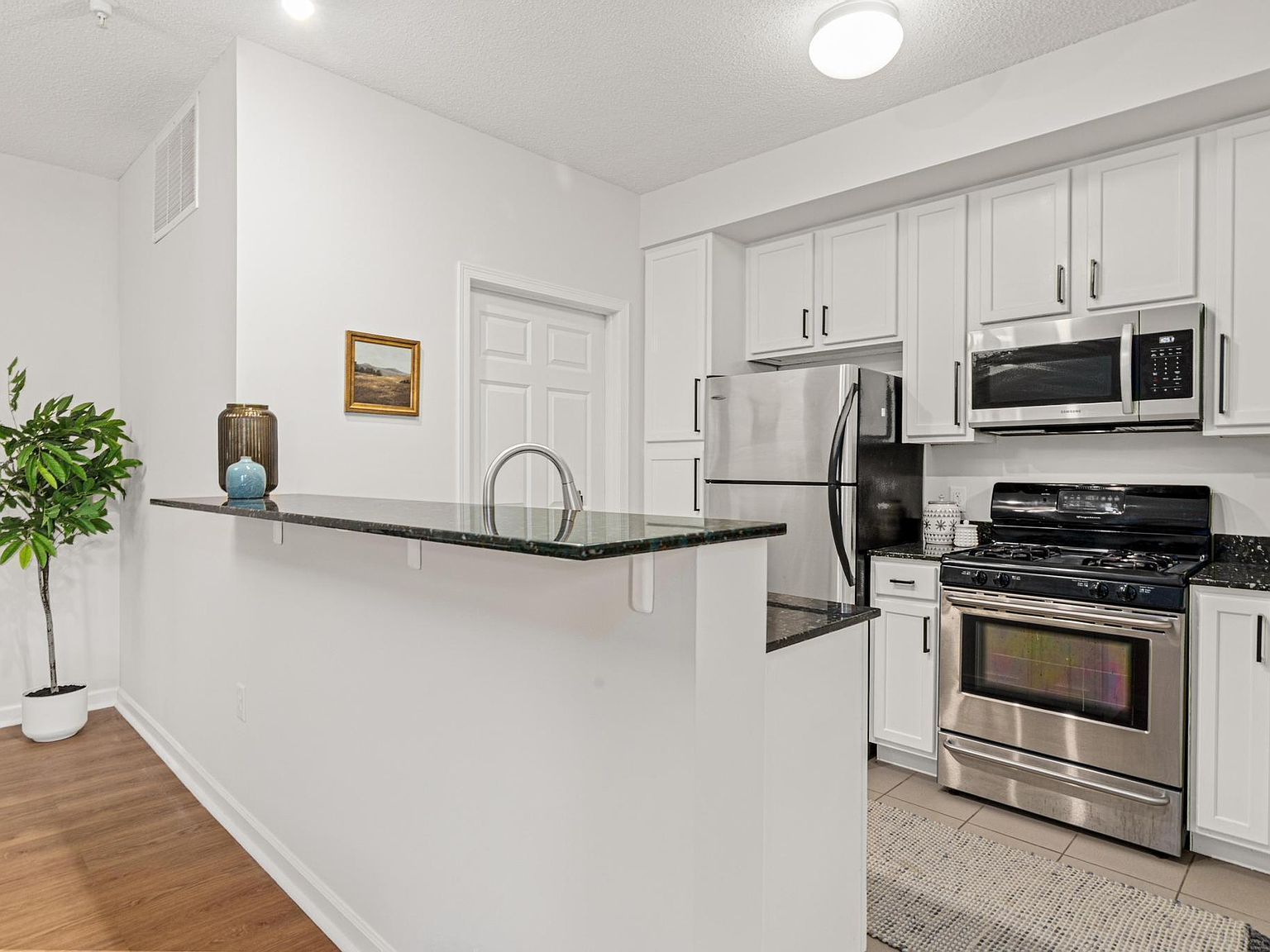 2566 Ellis Ave APT 103 Saint Paul, MN 55114 - Thumbnail 4