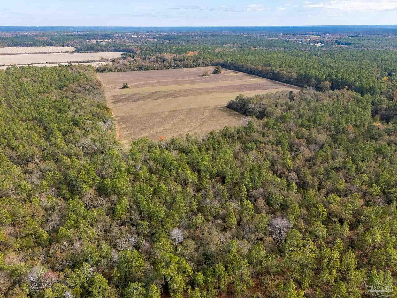 0 N Bob Brooks Rd Baker, FL 32531 - Thumbnail 4