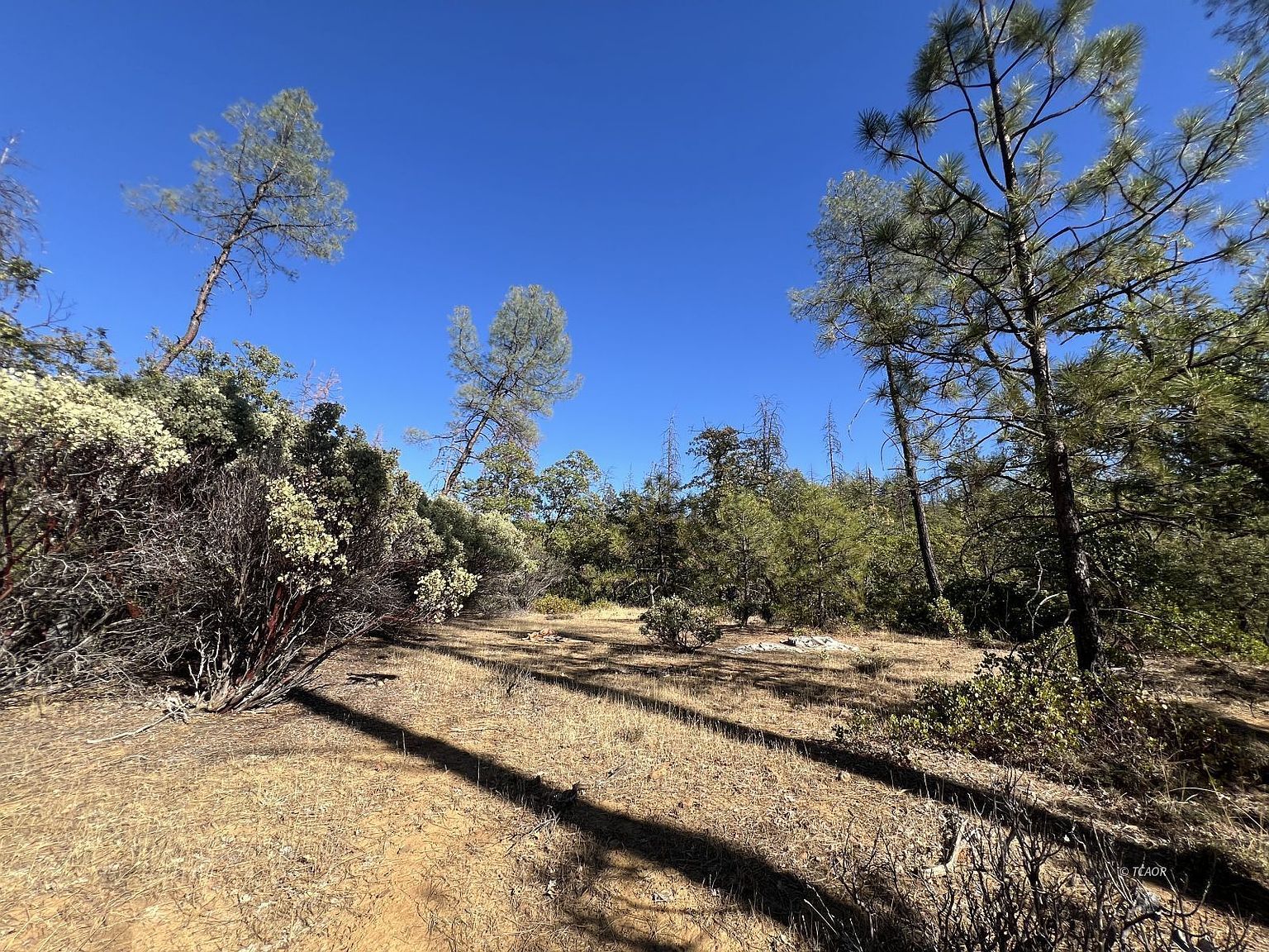 841 Browns Ranch Rd Weaverville, CA 96093 - Thumbnail 4