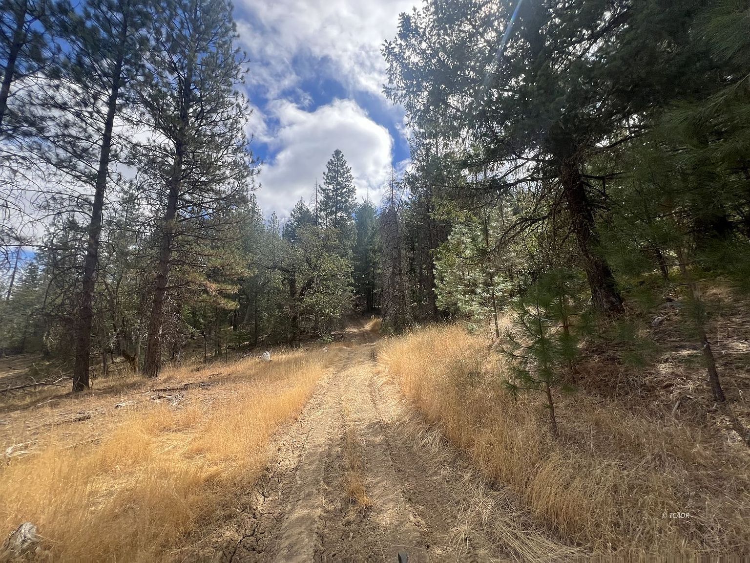 2400 White Rock Rd Platina, CA 96076 - Thumbnail 4