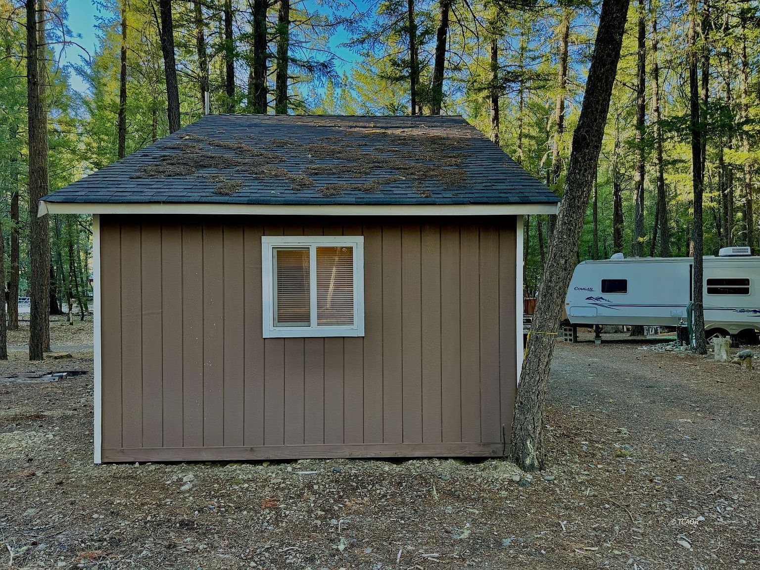 114 Rodeo Way #D Bridgeville, CA 95526 - Thumbnail 4