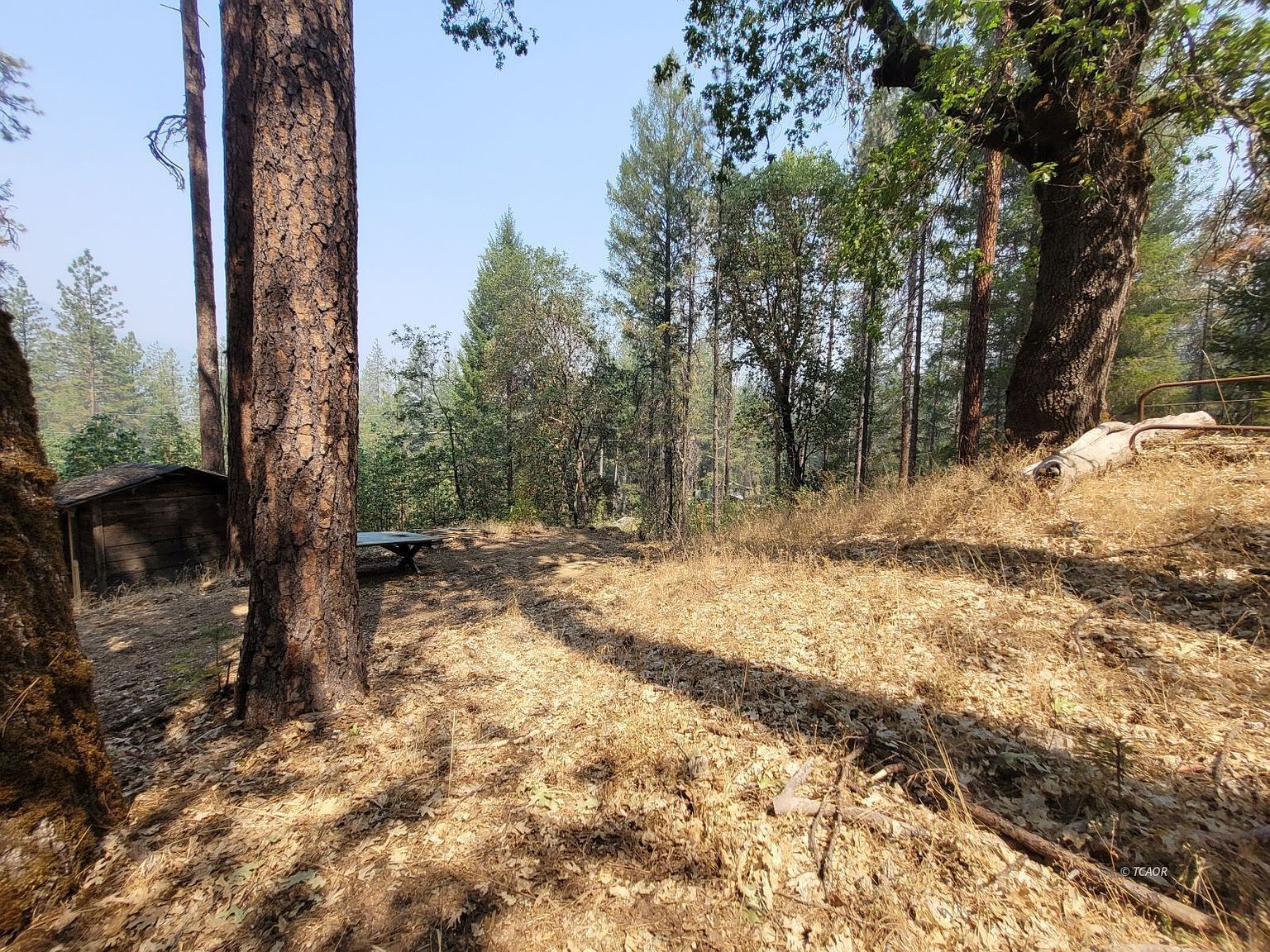 3221 Goose Ranch Rd Lewiston, CA 96052 - Thumbnail 4