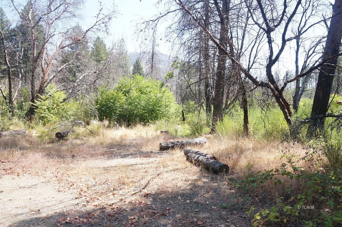 250 Bear Springs Rd Junction City, CA 96048 - Thumbnail 4