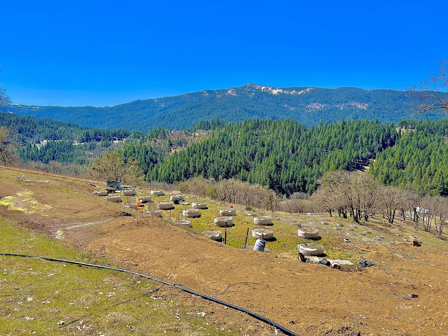 1786 County Line Creek Rd Bridgeville, CA 95526 - Thumbnail 4