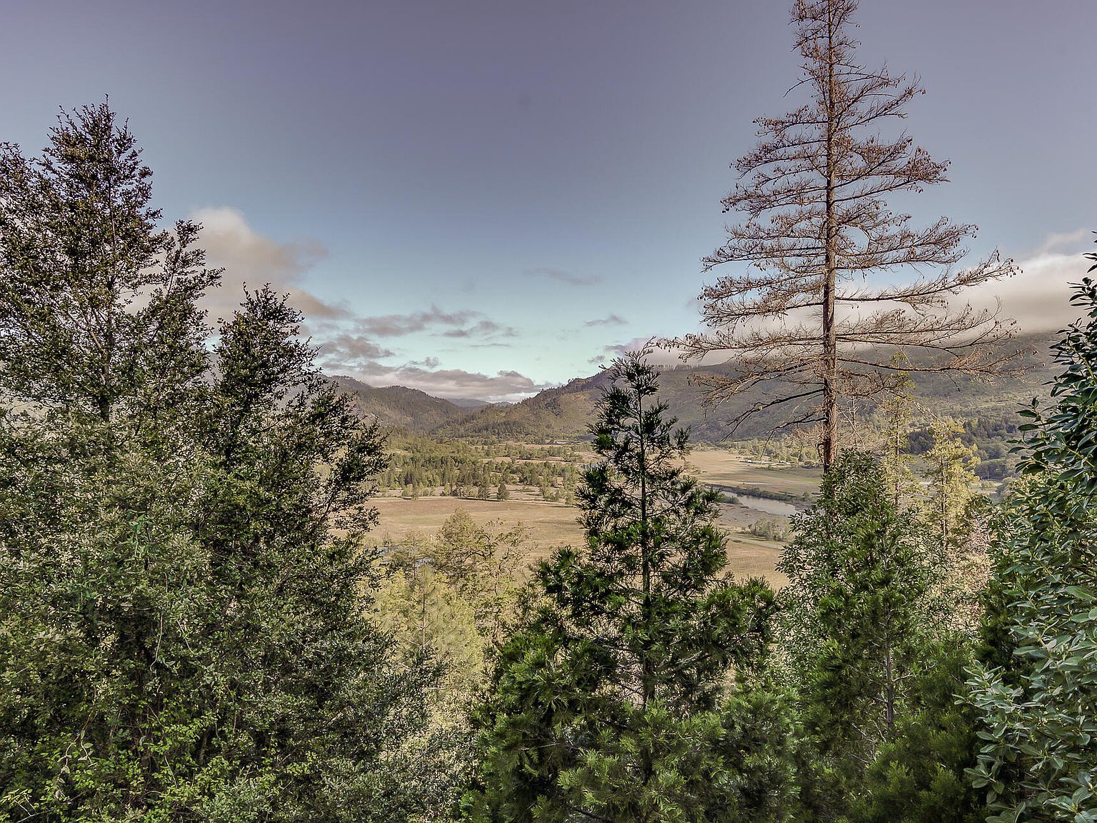 720 Pelletreau Ridge Rd Hyampom, CA 96046 - Thumbnail 4