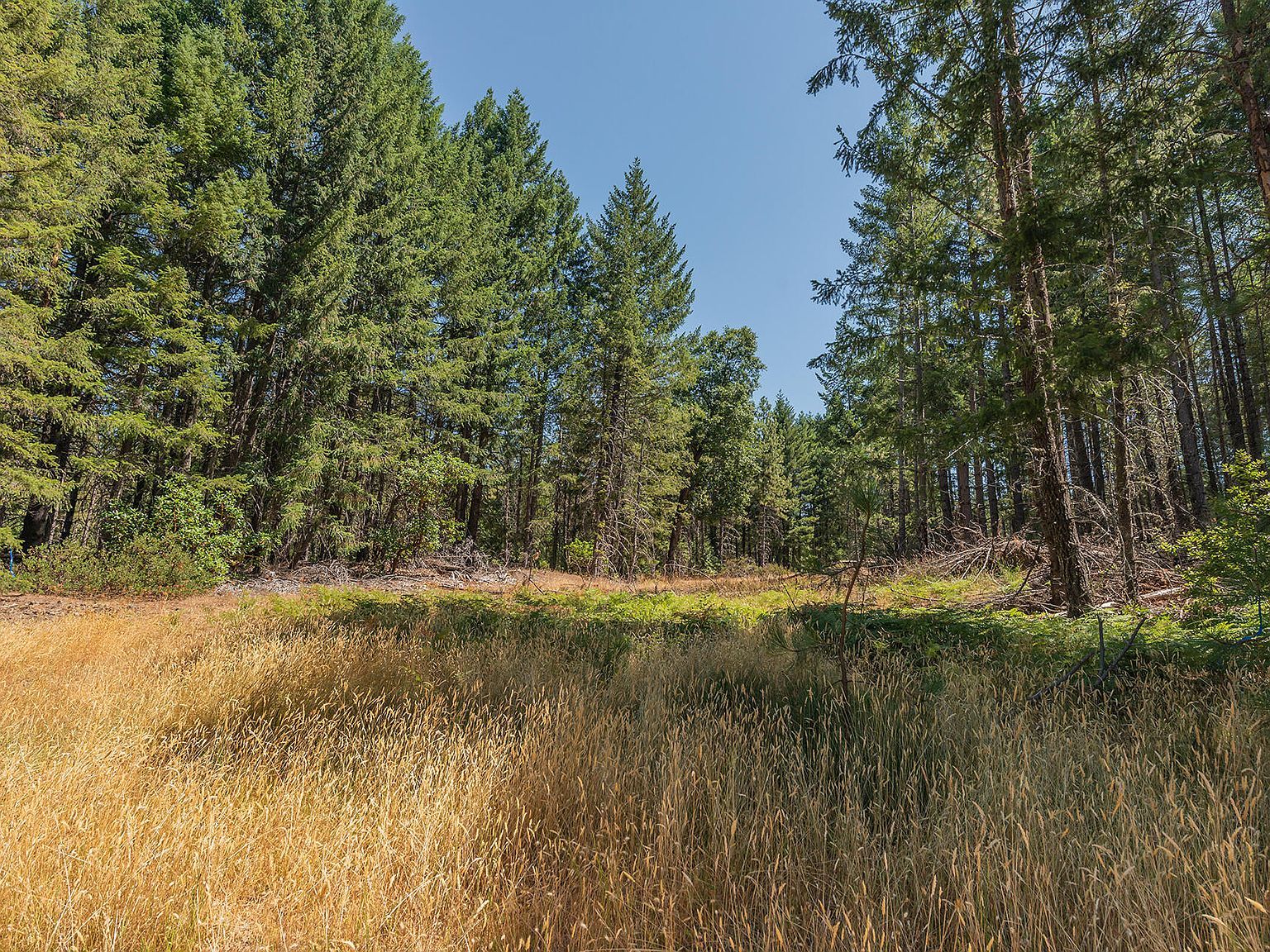 6900 Line Gulch Rd Zenia, CA 95595 - Thumbnail 4