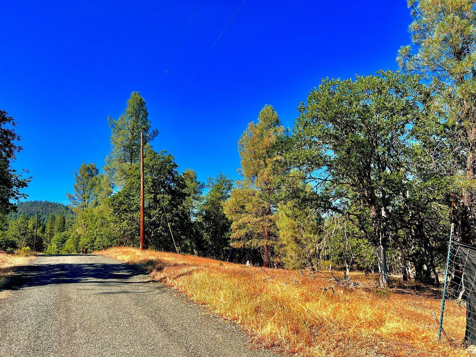 111 Oliva Dr Hayfork, CA 96041 - Thumbnail 4