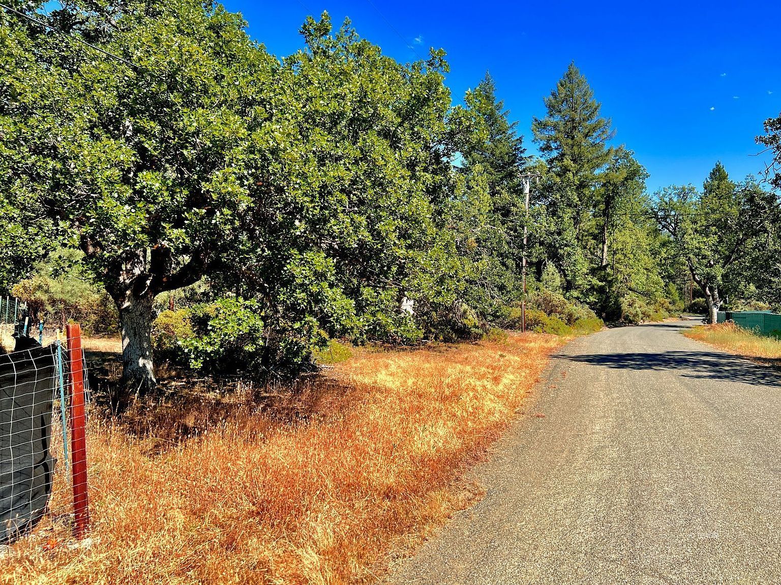 231 Oliva Dr Hayfork, CA 96041 - Thumbnail 4