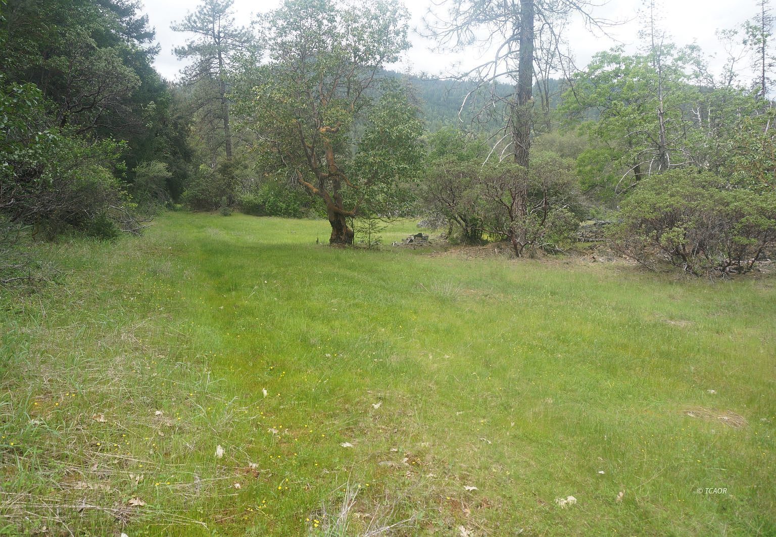 6269 Dutch Creek Rd Junction City, CA 96048 - Thumbnail 4