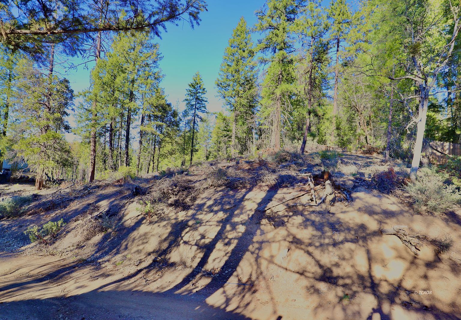 201 Eastridge North Ct Hayfork, CA 96041 - Thumbnail 4