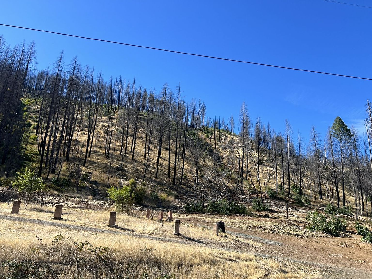 518 Dutch Creek Rd Junction City, CA 96048 - Thumbnail 4