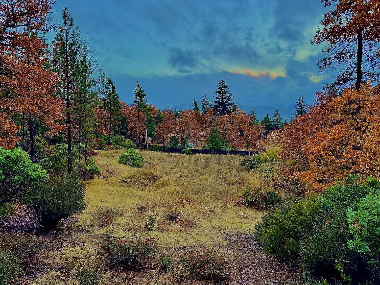 310 Reservoir Rd Hayfork, CA 96041 - Thumbnail 4