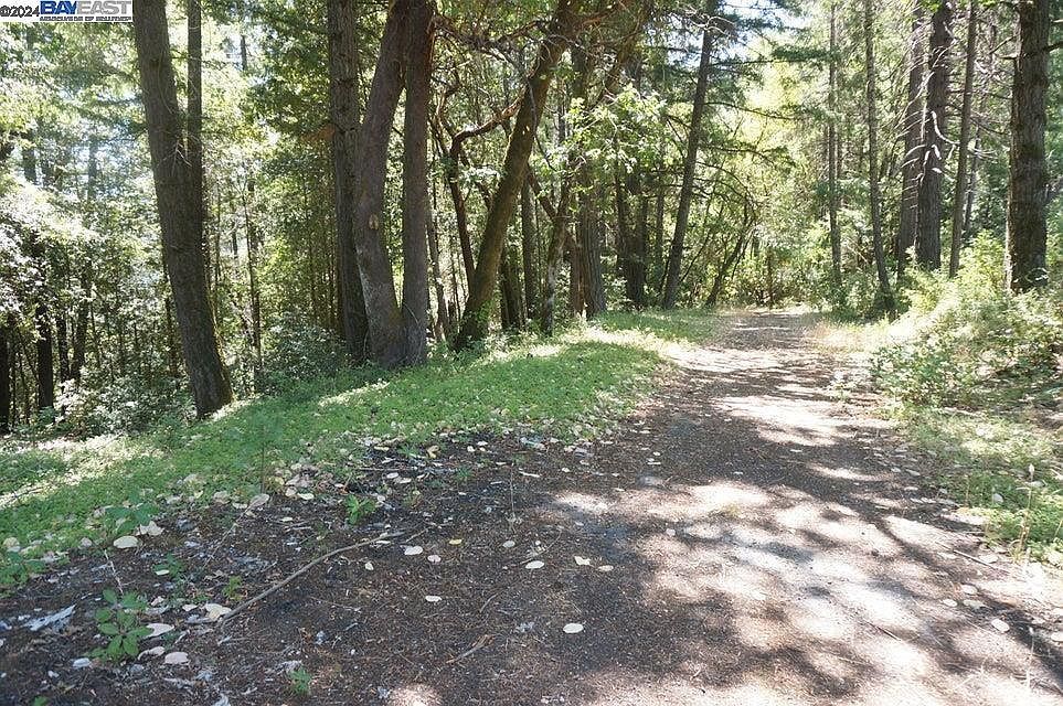 800 Suzy Q Rd Salyer, CA 95563 - Thumbnail 4