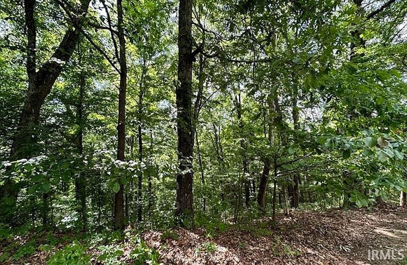 0 Dynasty Ridge Rd Martinsville, IN 46151  | Land/Lot